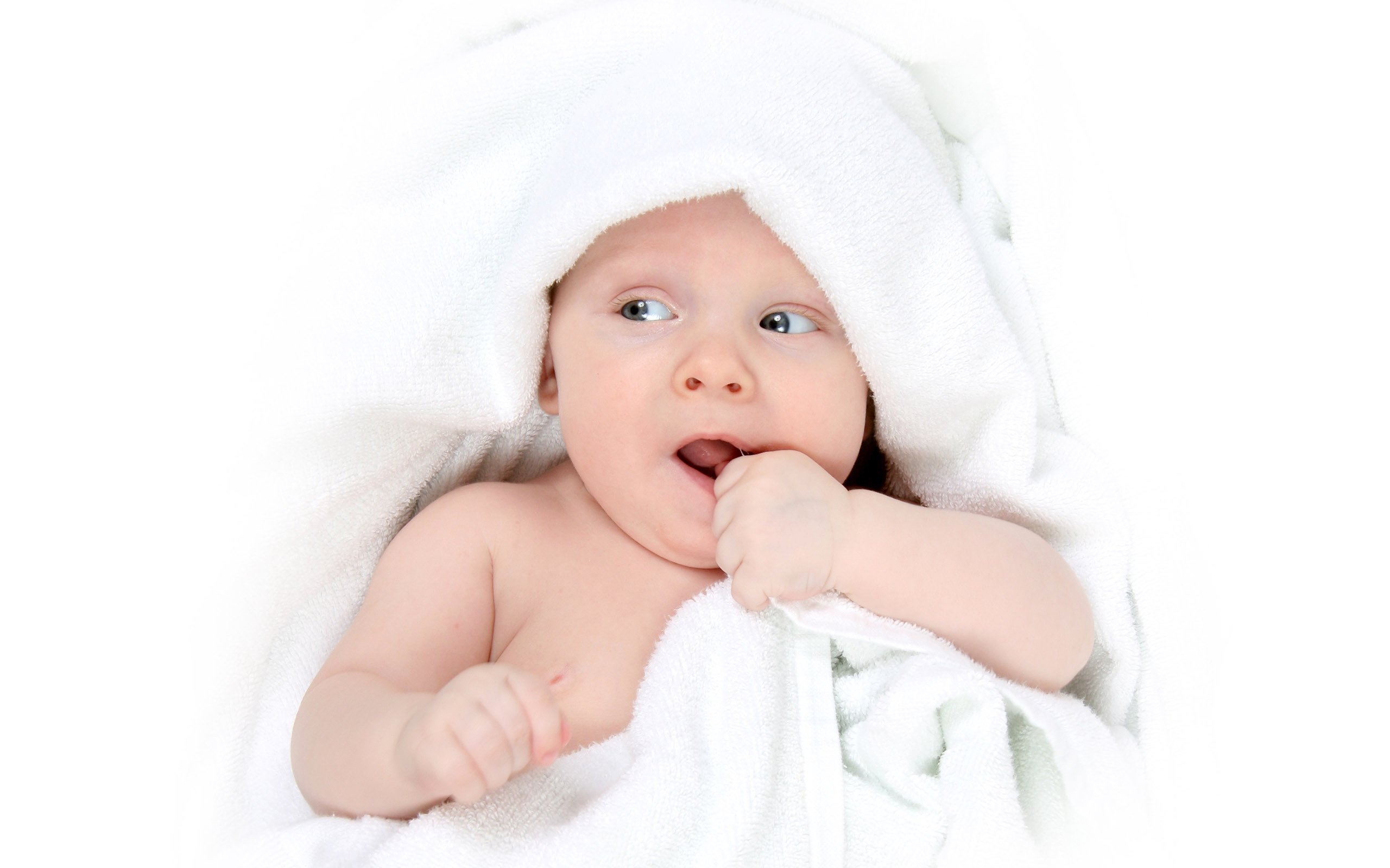 唐山助孕公司机构ivf试管婴儿成功率
